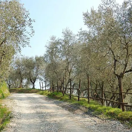 Séjour à la ferme Fattoria Di Fubbiano Collodi
