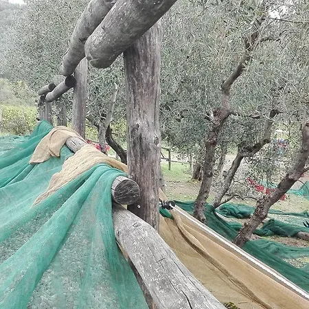 Feriegård Fattoria Di Fubbiano Collodi