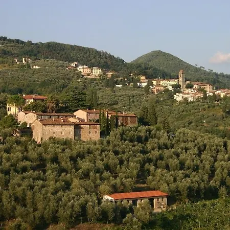 Fattoria Di Fubbiano
